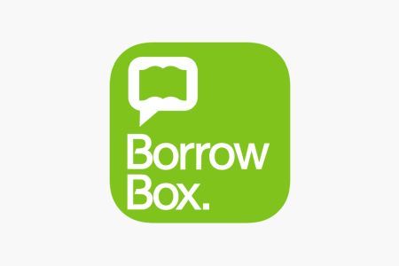 Green borrow box logo on white background